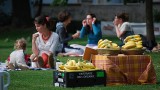 Férová snídaně - happening s produkty FairTrade probíhá již potřetí v mnoha městech ČR